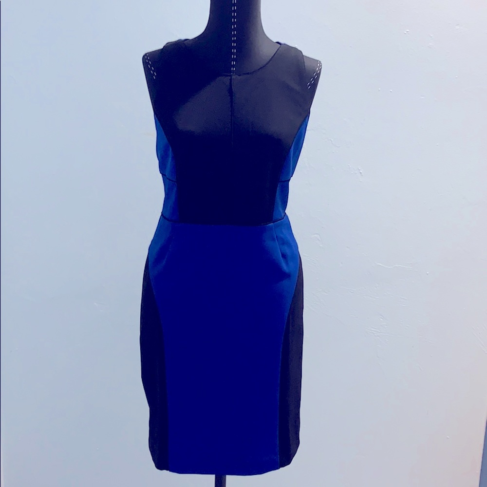 Greylin Black Royal Blue Dress
